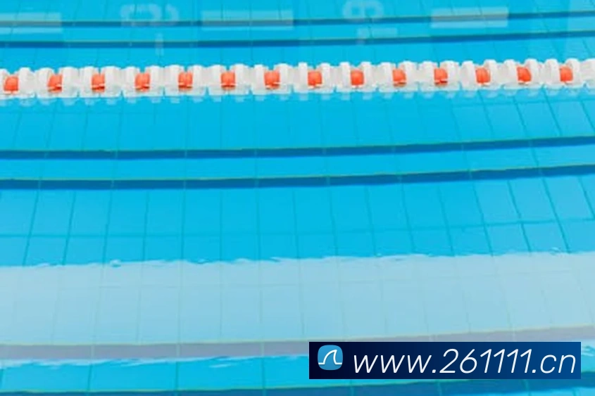 乐竞在线登陆平台生态图